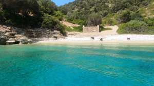 GX011302.MP4.10_34_37_01.Still002