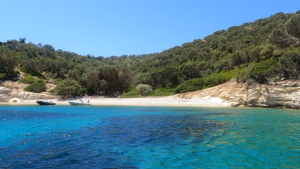 GX011304.MP4.10_38_01_12.Still001