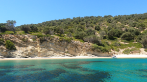 GX011307.MP4.10_41_40_00.Still001