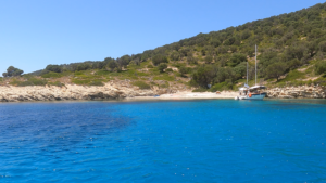 GX011308.MP4.10_42_42_02.Still001