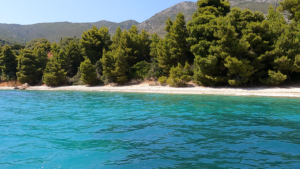 GX011337.MP4.12_57_24_08.Still001