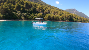 GX011454.MP4.08_49_33_43.Still001