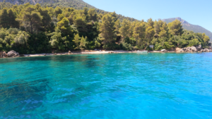 GX011471.MP4.09_30_05_30.Still001