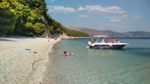 ΜΥΡΤΙΑ ΚΑΛΑΜΟΥ 2